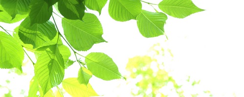 リナライズ LINERIZE販売サイトへ